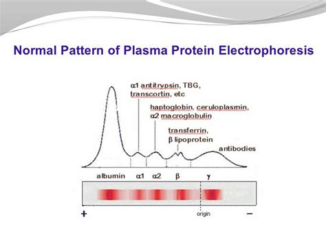 vomol|On the Applicability of Electrophoresis for Protein。